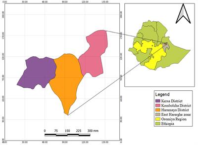 Occupational and environmental pesticide exposure and associated health risks among pesticide applicators and non-applicator residents in rural Ethiopia